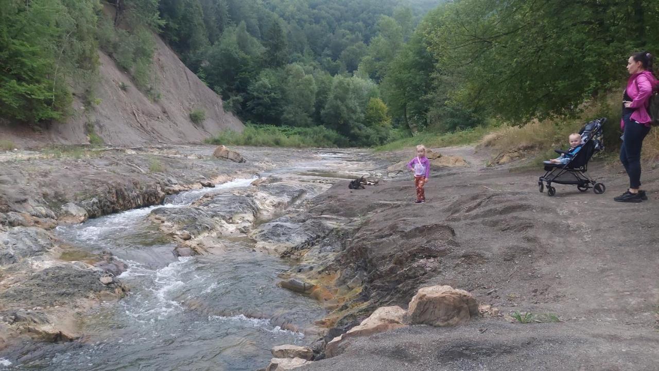 Садиба Федорчуків Гірська Хатина Sheshory Dış mekan fotoğraf